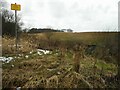 View over a drainage ditch