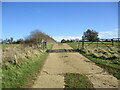 Cattle grid near Gunthorpe