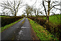 H4965 : Rarone Road, Moylagh / Rarone by Kenneth  Allen