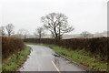 Back Lane Near Sea Mills Farm