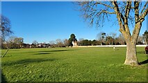 TQ0866 : Bishop Duppas Recreation Ground by James Emmans