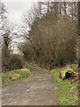 Track above Cwm Treweryn near Crai