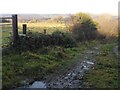 R5793 : Farm Track near Lough Graney by colm