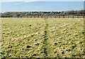 Public Footpath