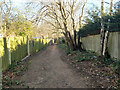 Footpath 81W, Maidenbower, Crawley