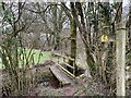 Footbridge over stream