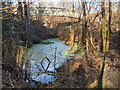 Pond by railway south of Three Bridges