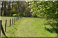 Footpath, Crowhurst Place