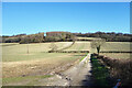 Fields, Woods & Hedges, Little Hampden