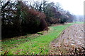 Field Near Watery Lane