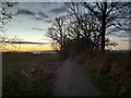 Evening at Culloden