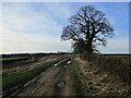 Bridleway near America Lodge