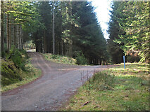 NT2841 : Forest track junction, Glentress by Jim Barton