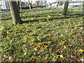 On the roundabout near Abbey Wood station