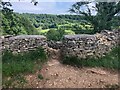 SO8910 : Stone Stile Above St Georges Field, Sheepscombe GS1015 by Jayne Tovey