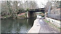 Railway bridge over Basingstoke Canal at Mytchett Lake