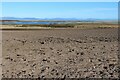 Ploughed field at Newton