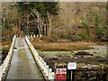 Bridge to Ynys Gaint