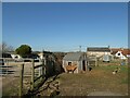 A lovely afternoon at West Wight Alpacas (A)