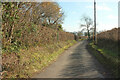 Lane to Nunnery Copse