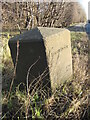 Old Boundary Marker by the A179, Hart Road, Throston Grange