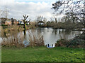 Moat Pond, East Grinstead