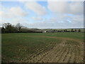 Autumn sown crop and Low Hameringham