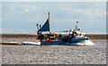 SX9980 : Lobster boat, Exmouth by Roger Jones
