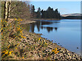 NT2954 : Shoreline at Gladhouse Reservoir by Jim Barton