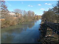 River Lea from a footbridge