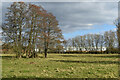 View across meadow to Churchfields Industrial Estate