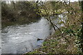 River Nadder roadside, west of Bemerton