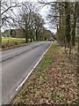 ST4996 : Tree-lined road, Itton, Monmouthshire by Jaggery