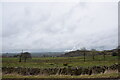 View from Ellastone Road at Windy Harbour