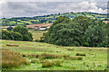 Near Upper Cefn