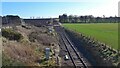 The East Coast main line goes down to single track at bridge "The Cotton"