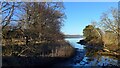 Small stream running into the Montrose Basin