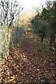 Autumnal footpath