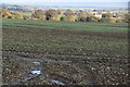 Essex farmland