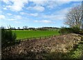 NZ1945 : Fields west of the railway walk by Robert Graham