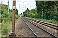 TL3441 : Cambridge Line by N Chadwick