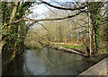 River Leach at Little Faringdon