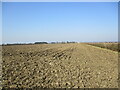 Ploughed field off Sandy Bank Road