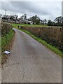 ST4996 : Hedge-lined farm access road, Itton, Monmouthshire by Jaggery