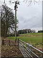 ST4996 : Line spur pole in a field, Itton, Monmouthshire by Jaggery