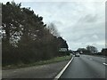 Signage - A31 northbound