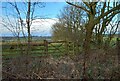 Brackenthwaite, Brackenthwaite Lane