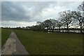 Cycle path on Clifton Ings