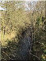 Bollihope Burn In Tree Covered Gorge