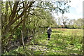 Footpath on edge of Lingfield